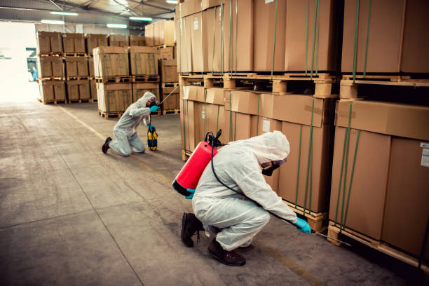 Best Affordable Exterminators  in Glyndon, MN