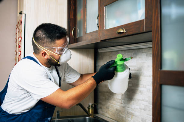 Best Best Pest Control Companies  in Glyndon, MN