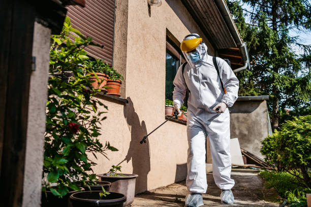 Best Mosquito Control Services  in Glyndon, MN