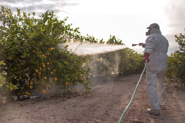 Best Best Pest Control Companies  in Glyndon, MN
