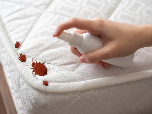 Best Pest Inspection Near Me  in Glyndon, MN