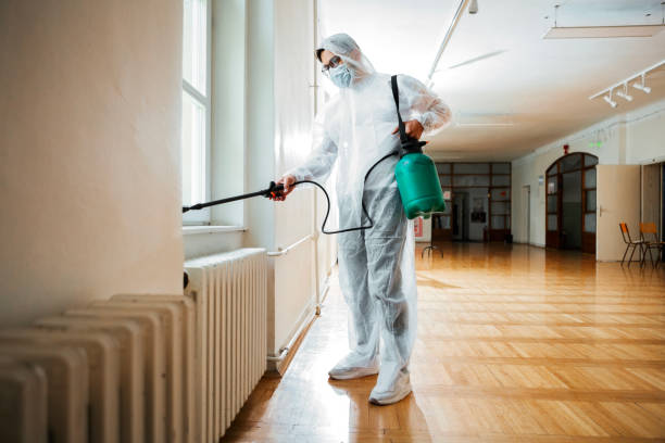 Best Flea Control Services  in Glyndon, MN
