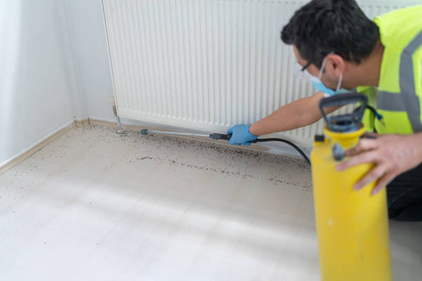 Best Ant Control Services  in Glyndon, MN