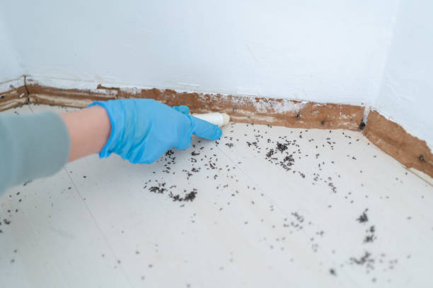 Pest Control Cost in Glyndon, MN